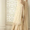 Luxury pakistani suit with dupatta for party wear in beige color with hand embroidery